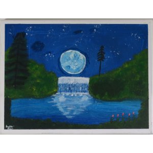 Keilrahmen 30x40 cm.
Titel: Der Mond am Wasserfall. 